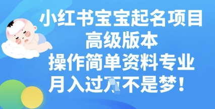 小红书宝宝起名项目高级版本，操作简单，资料专业，月入过W-派资源