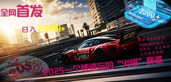 全网首发：2025一个被遗忘的“火爆”赛道轻松日入多张-派资源