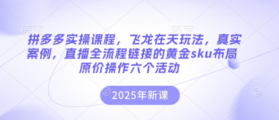 拼多多实操课程，飞龙在天玩法，真实案例，直播全流程链接的黄金sku布局原价操作六个活动-派资源