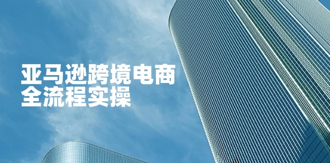 （14252期）亚马逊跨境电商全流程实操，教你从零开始，掌握店铺运营与广告技巧-派资源