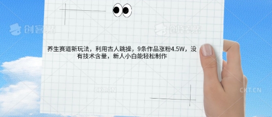 AI养生赛道新玩法，10条作品涨粉5.2W，操作简单，新人小白能轻松制作-派资源