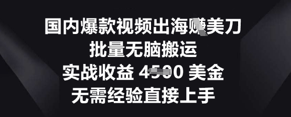 国内爆款视频出海挣美刀，批量无脑搬运，实战收益4.5k，无需经验直接上手-派资源