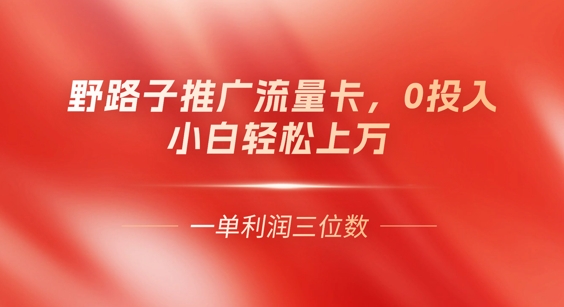 0门槛推广流量卡，一单收益上百，0投入，小白月入过W-派资源