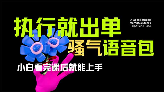 （14170期）爆火全网的开车导航骚气语音包,只要执行就出单，小白看完课程就能实操...-派资源
