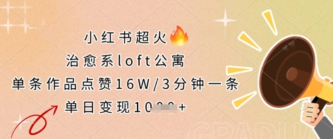 小红书超火的治愈系loft公寓，单条作品点赞16W，3分钟一条，单日变现数张-派资源