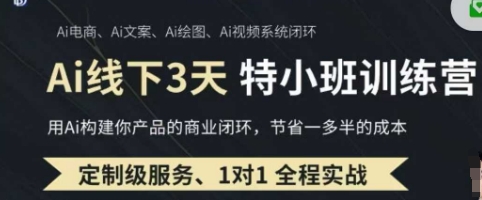 AI实操培训第20-21期线下，0基础保姆级教程，3月最新整理，企业获客、降本增效、打造超级个体-派资源