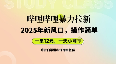 哔哩哔哩暴力拉新：2025年新风口，一单12元，一天数张(附开白渠道和保姆级教程)-派资源