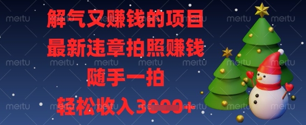 解气又挣钱的项目，最新违章拍照挣钱，随手一拍，轻松收入数张【揭秘】-派资源